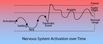 Nervous System Activation over Time